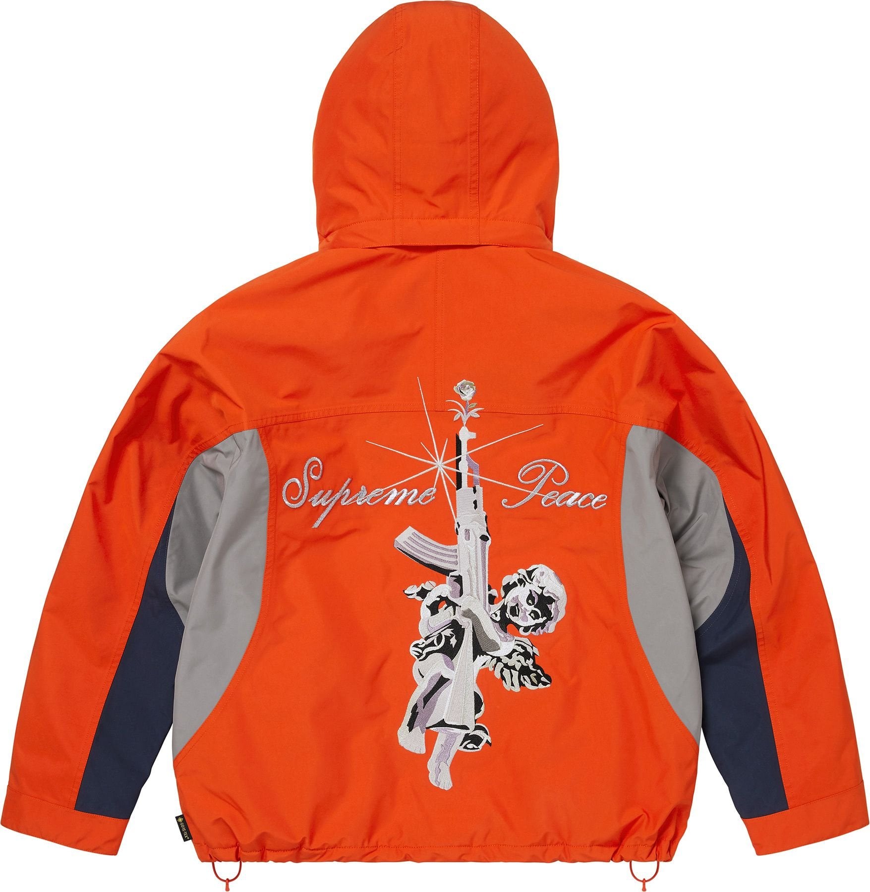 AOI GORE-TEX Hooded Jacket view 9